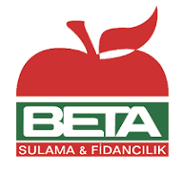 Beta