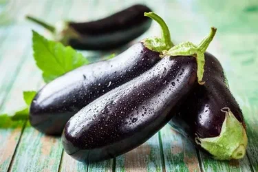 eggplant