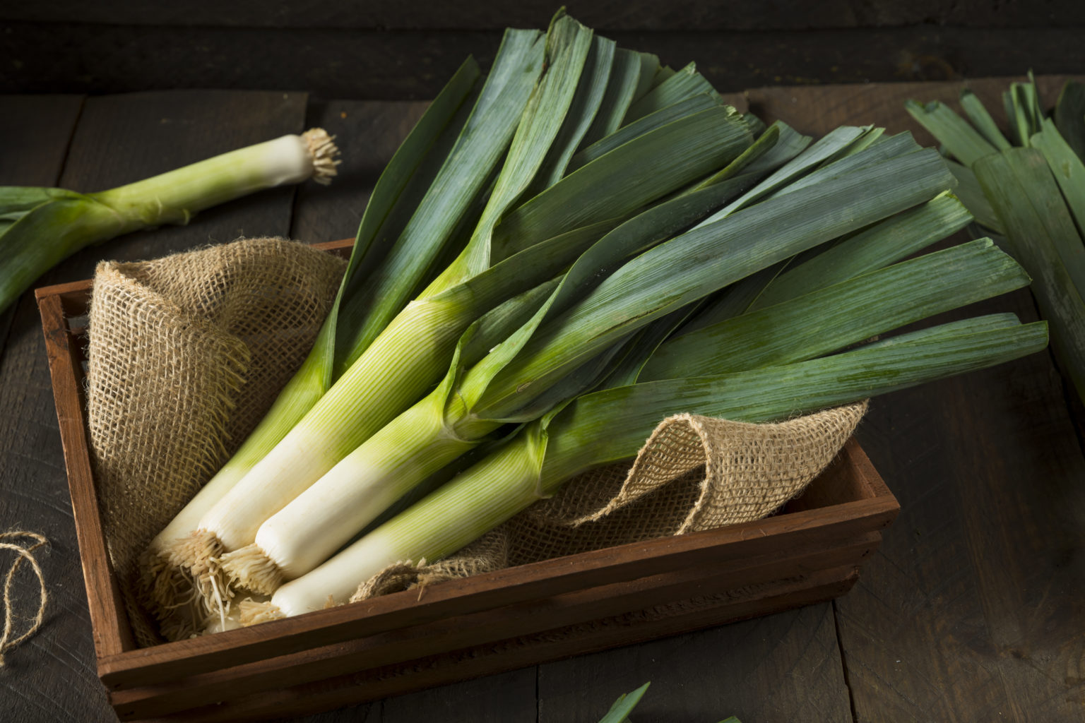 leek