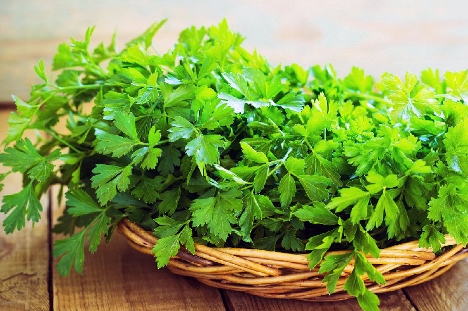 Parsley