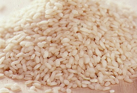 Arborio rice