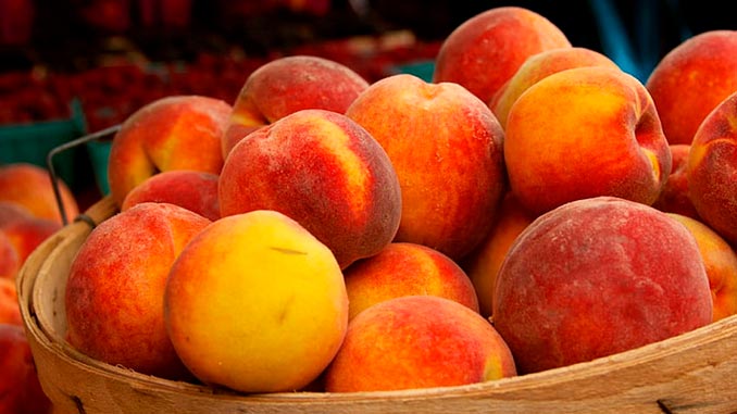 Peaches