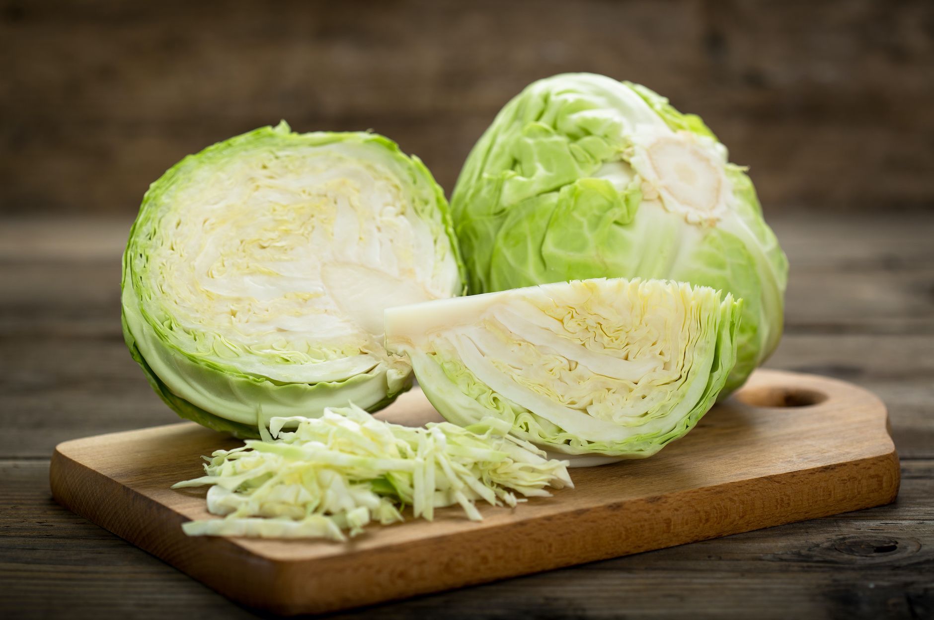 cabbage