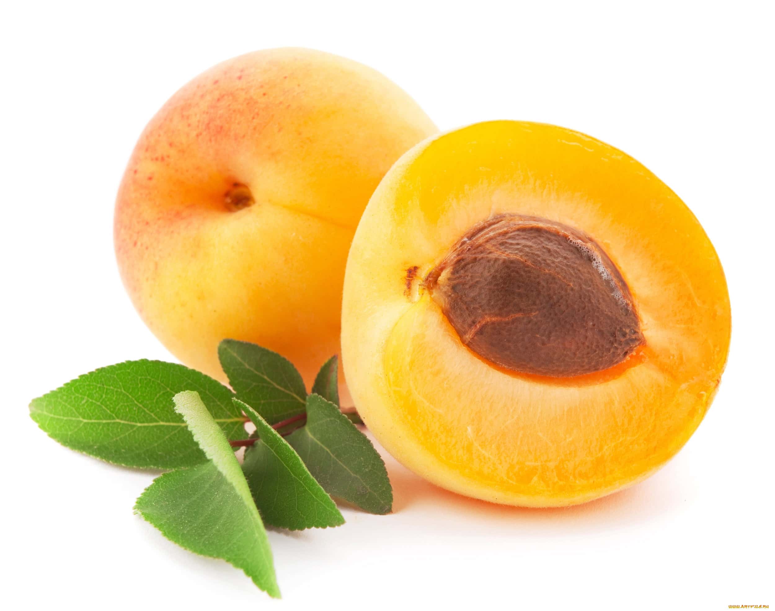 Apricots are imported