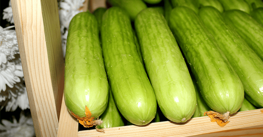 Glass cucumber