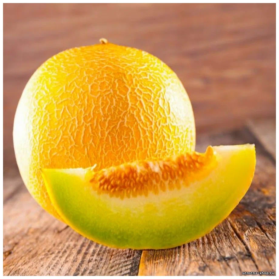 Yellow melon