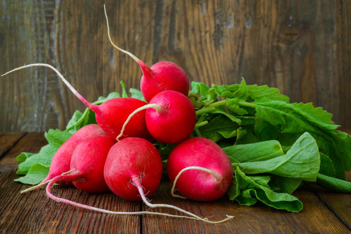 Radish