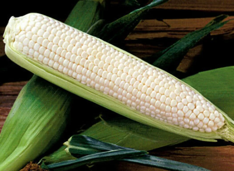 white corn