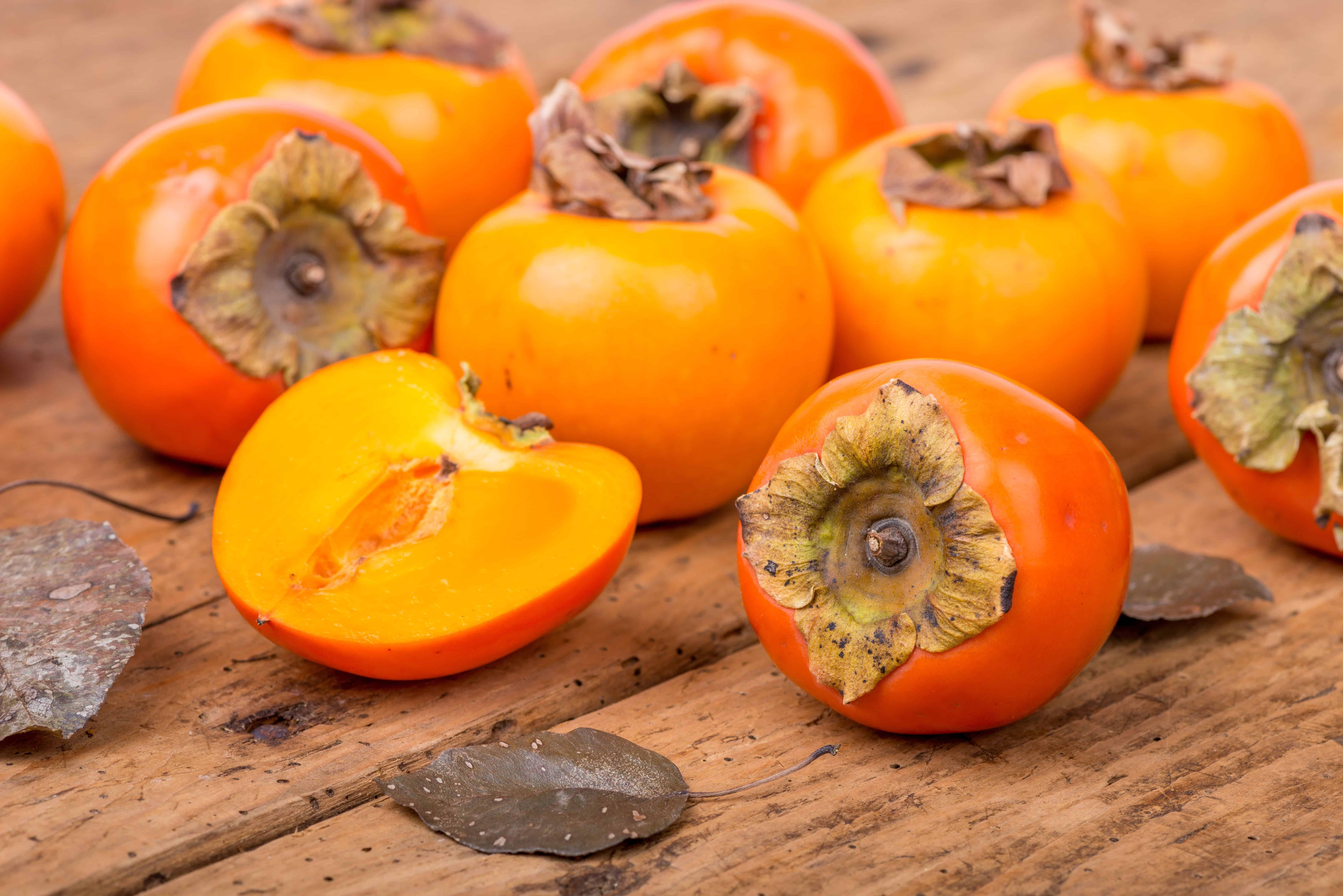 persimmon