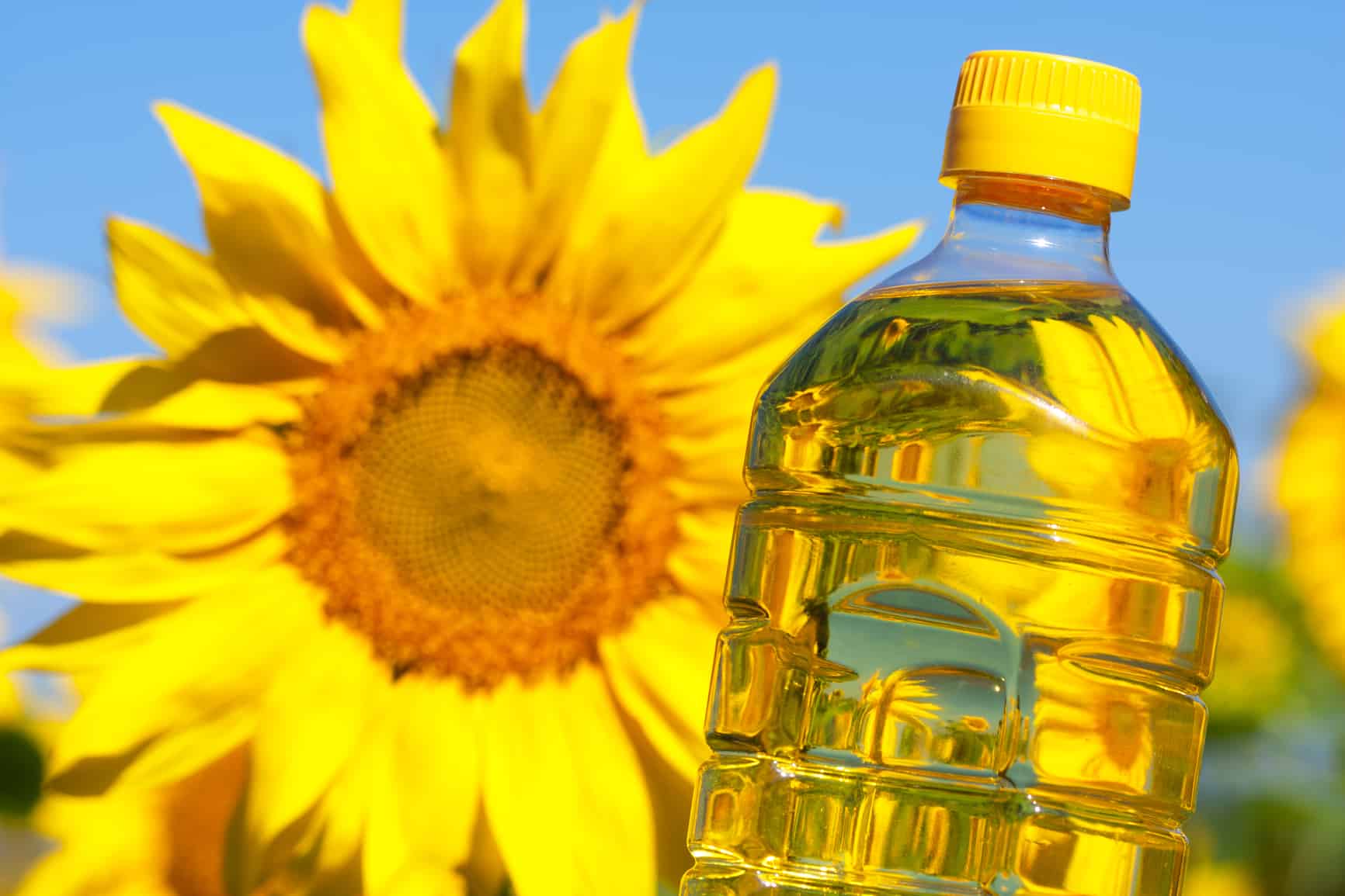 sunflower oil